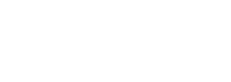 Best Chiropractor white logo